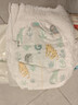 好奇好奇心钻装小森林婴儿拉拉裤 超薄透气通用尿不湿小内裤 森林密语 森林密语拉拉裤L36片1包 通用 实拍图
