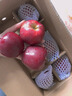 味果生甘肃天水花牛苹果应季新鲜水果刮泥粉面宝宝辅食蛇苹果整箱送礼 9斤中大果【75-80mm】净重8.5斤 实拍图