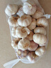 山东金乡蒜大蒜出口标准精选大蒜头蔬菜调料单果5cm 【专享】出口网兜925g5-5.5cm特大 实拍图