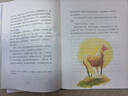 作家榜名著：万花筒（全新未删节插图精装版！国际安徒生奖头位得主代表作！让孩子的想象力飞起来！） 实拍图