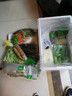 有机汇 有机蔬菜 高端食材精装礼盒 精美包装 有机礼品可做礼品卡礼品券 有机蔬菜精选礼盒-10种精装蔬菜 实拍图