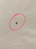 虫小将热门商品蟑螂药特效强力全窝端虫卵双杀呋虫胺驱虫喷雾剂 实拍图