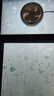 希偌静电玻璃贴纸阳台芙蓉花厨房窗贴透光不透明玻璃贴膜窗户防窥贴膜 实拍图
