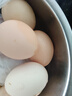 芮瑞 农家散养新鲜现捡土鸡蛋笨鸡蛋谷物柴鸡蛋初生蛋 单枚40g±3g 6枚装 实拍图