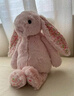 Jellycat花布邦尼兔动物毛绒玩偶兔子玩偶儿童礼物娃娃生日新婚礼物 彻蕊（胭脂粉色） Medium 实拍图
