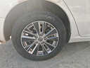 米其林（MICHELIN）汽车轮胎 205/65R16 95W 浩悦五代Primacy 5 适配天籁/欧尚X70A 实拍图