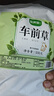 敬贤堂车前草500g （5gx100）精选车轮菜 牛舌草养生泡水泡茶饮 实拍图