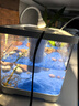 阔庭（KUOTING）缸水族箱生态桌面鱼缸新款懒人鱼缸生态造景过滤制氧一体机白色 实拍图