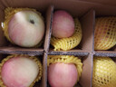 红雀山东特产红富士苹果礼盒 中秋年货水果礼品 精选大果 10斤装 精选中果【单果75mm-80mm】 5斤装【净重4.5斤】家宴待客 实拍图
