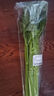 【有机】芹菜（西芹）400g 实拍图