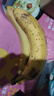 精品云南香蕉高山香蕉现摘新鲜水果甜生青香蕉banana自然熟绿皮 精品高山蕉 9斤 实拍图