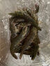 鲜活大海白虾300g（约12-18只） 实拍图