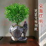 临雅小叶赤楠盆景金丝楠木老桩绿植物室内桌面盆栽禅山盆带托源头直发 实拍图
