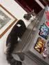 鲜朗冻干猫零食猫咪幼猫成猫营养鸡肉粒鸡胸肉非猫粮冻干零食 猪里脊冻干1包【单包装 共50g】 实拍图