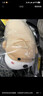 名创优品（MINISO）趴姿系大号趣味狗狗公仔毛绒玩偶玩具抱枕布娃娃万圣节礼物卡其色 实拍图