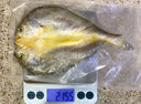 黄小渔宁德黄鱼鲞400g/2条 三去大黄鱼黄花鱼生鲜 海鲜水产烧烤鱼类 实拍图