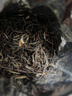 乐品乐茶茉莉花茶特级茶叶茉莉毛尖250g花草茶浓香2025新茶自己喝送礼品袋 实拍图