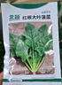 北蔬 菠菜种子大叶红根秋冬耐寒四季蔬菜种籽 红根大叶菠菜种子50g 实拍图