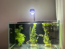 品牌同厂晶普达原生溪流缸鱼缸筒灯led全光谱水草爆藻金鱼出苔灯 【90度透镜款】蓝白光15W含支架 实拍图