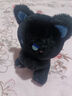 ZOCO可爱高颜值呆呆公仔毛绒玩具玩偶娃娃emo小熊礼物生日礼物 Qy-【黑蓝小猫】 15.5厘米【限量促中】 实拍图