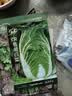 寿禾大白菜种子大全老品种秋播四季农科院娃娃菜山东蔬菜播天津青籽 （翡翠）黄心白菜种子12g约4千粒 实拍图