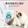 怡亲猫砂膨润土猫砂10kg猫沙20斤除臭豆腐伴侣低粉尘十公斤猫咪用品 薰衣草膨润土猫砂-10kg 实拍图