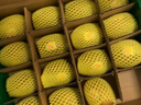 佳沛（zespri）新西兰  阳光金奇异果16粒礼盒经典果单果约 77-103g 水果 猕猴桃 实拍图