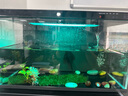 米家（MIJIA）智能生态鱼缸定时喂食智能鱼缸+画法几何增氧泵套装 实拍图