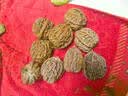 老农哥官帽狮子头文玩核桃青皮把玩核桃麻核桃绿皮原果绿果带皮10颗 10个鸡心 50-52mm 实拍图