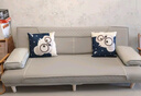 品上凯迪斯 现代简约多功能沙发床两用可折叠沙发床客厅沙发小户型懒人沙发 【新款猫抓皮】深灰 【炫彩海绵款】1.5米长2扶手2腰枕 实拍图