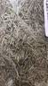 松针松针茶特级野生全松茶高山马尾松针叶泡茶喝新鲜 松针50g 实拍图