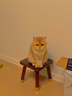 WarsunWL01猫藓灯伍德氏荧光蔬菜检测紫光紫外线365nm手电筒照猫尿 实拍图