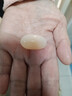 小熊（Bear）电煮锅 宿舍小电锅泡面火锅 电蒸锅蒸煮一体多功能多用途电热锅 1.7L屉蒸蒸笼电蒸锅 DRG-E17D2 实拍图