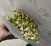 福东海 茉莉花苞100g  横县原产三伏晴天茉莉花茶干花蕾养生花茶泡水 实拍图