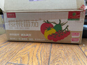 京鲜生 樱桃番茄 皇珈串茄红散串418g*2 水果 源头直发包邮 实拍图