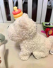 babycare&bct儿童毛绒玩具狗电子哈基米宠物玩偶节日生日七夕礼物西高地犬 实拍图