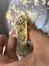 三太子正宗黄庄酥皮月饼伍仁430g中式传统糕点休闲零食送礼品物送父母 实拍图