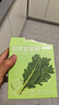 京东京造 羽衣甘蓝粉 青汁搭配燕麦片麸皮膳食纤维代餐90g（3g*30条） 实拍图