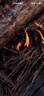 火枫（FIRE-MAPLE）如意棒取火器 口哨多功能打火石打火棒装备野外哨子 曜石黑打火器 实拍图