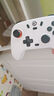 盖世小鸡（GAMESIR）启明星无线游戏手柄switch2手柄 手机安卓苹果PC电脑NS2pro蓝牙特斯拉电视steam双人成行丝之歌 实拍图