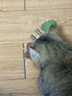 阿柴与猫猫咪玩具鱼骨头木天蓼猫薄荷磨牙棒仿真鱼磨牙耐咬自嗨解闷逗猫棒 实拍图