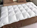 源生活防钻绒 白鸭毛羽毛被子被芯 四季单人羽毛被 5斤 150*200cm 白色 实拍图