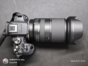 腾龙（Tamron）B061R 18-300mm F/3.5-6.3 Di III-A VC VXD防抖远摄大变焦微单镜头旅游 佳能RF口 实拍图