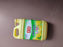 立白清新柠檬味洗洁精大桶1.5kg 除味去油去腥 餐具净洗涤灵洗碗液 实拍图