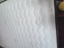 香榭柏兰 椰棕床垫棕垫硬棕榈床垫子 天然乳胶榻榻米床垫定做定制 15CM厚（防螨面料+10CM椰棕+2CM乳胶） 1.5米*1.9米 实拍图