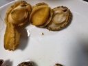 森农乐鲍鱼鲜活冷冻特大生鲜大号贝类海鲜水产超大即食佛跳墙食材鲍鱼汁 10-13只/斤【大号鲍2斤 实发20-24只】 实拍图