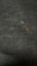 babycare儿童保温杯婴儿宝宝吸管水杯霸王龙不锈钢保温杯300ml-新旧款混发 实拍图