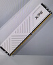 威刚（ADATA）16GB DDR4 3200 台式机内存 XPG-威龙D35 釉白  实拍图