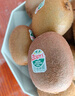 佳沛（zespri）新西兰  阳光金奇异果10粒礼盒巨大果单果约144-175g 水果 猕猴桃 实拍图