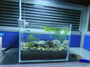 YEE鱼缸金晶超白金鱼裸缸8060家用客厅桌面小草缸龟缸玻璃生态溪流缸 22*16*17*5mm超白玻璃裸缸 实拍图